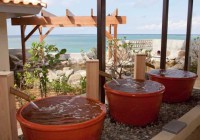 Okinawa Onsen & Dinner